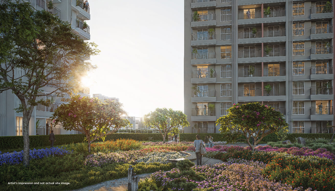 Evergreen Square Image